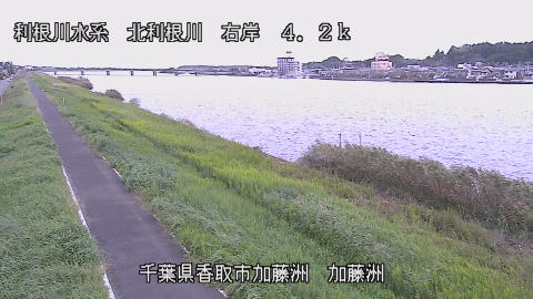 maesui2026100612_image