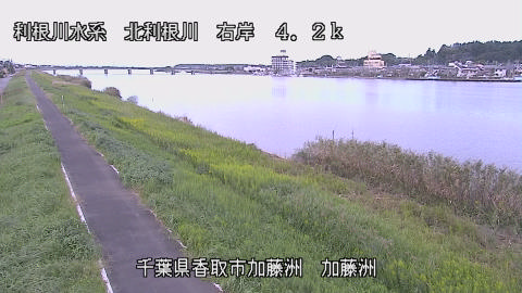 maesui2026100712_image