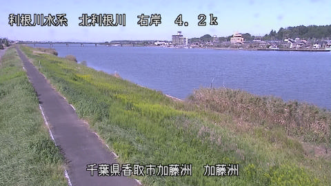 maesui2026100812_image