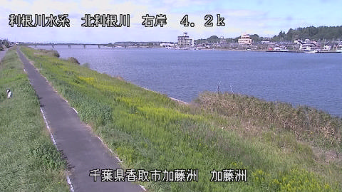 maesui2026101012_image