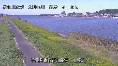 maesui2026101112_image