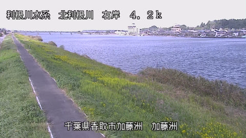 maesui2026101212_image