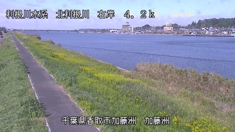 maesui2026101312_image