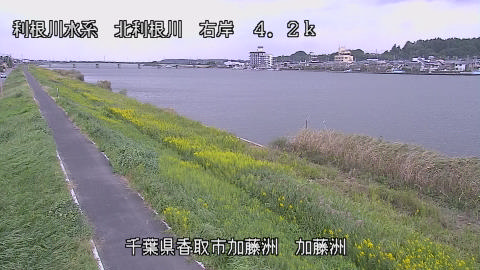 maesui2026101412_image