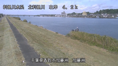 maesui2026101612_image