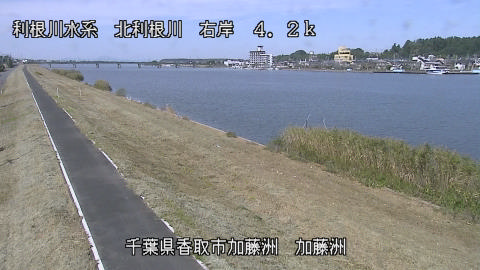 maesui2026101712_image