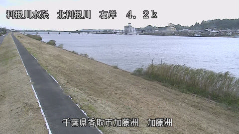 maesui2026102012_image
