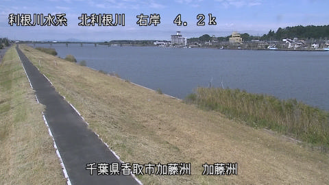 maesui2026102212_image