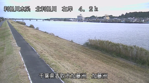 maesui2026102306_image