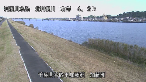 maesui2026102308_image