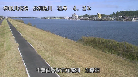 maesui2026102309_image