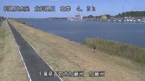 maesui2026102311_image