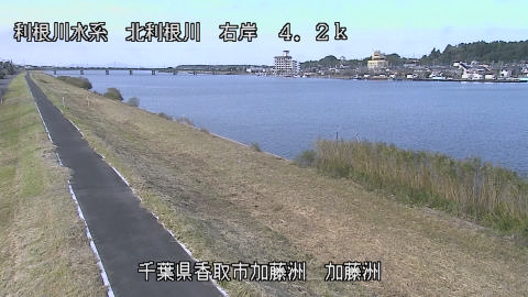 maesui2026102314_image