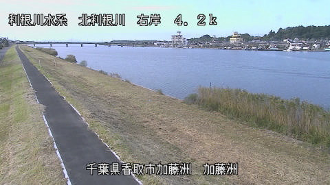 maesui2026102315_image