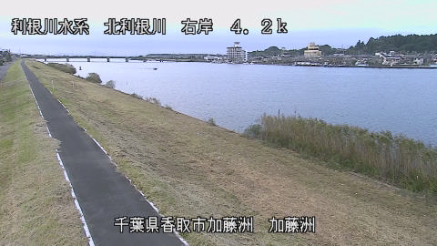 maesui2026102316_image
