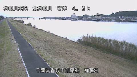 maesui2026102317_image