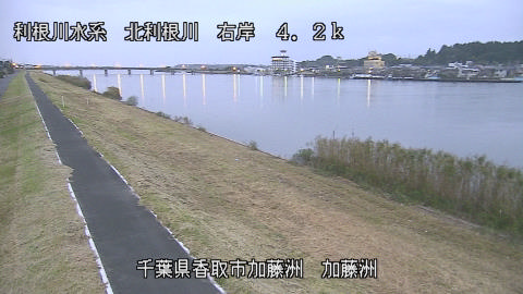 maesui2026102406_image