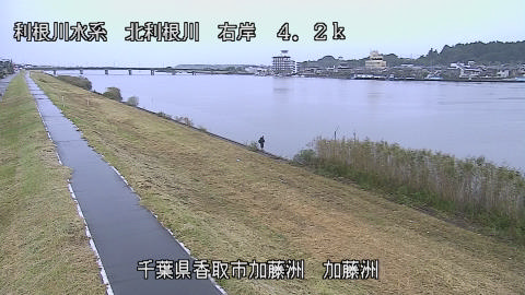 maesui2026102407_image