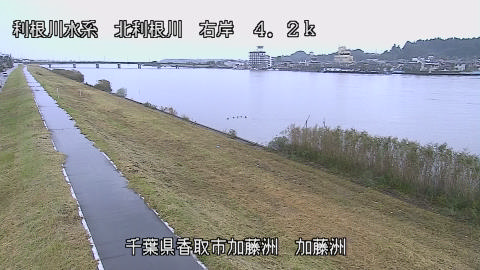 maesui2026102408_image