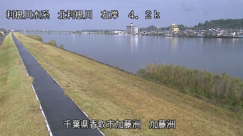 maesui2026102409_image