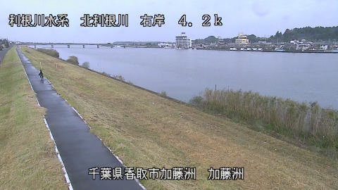 maesui2026102410_image