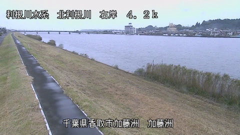 maesui2026102411_image