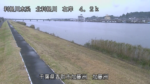 maesui2026102412_image