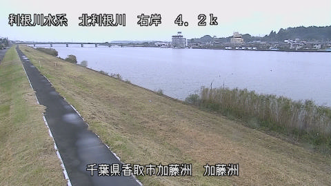 maesui2026102413_image