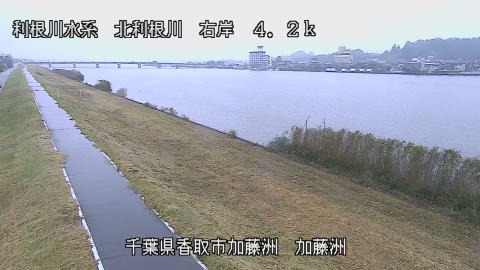maesui2026102415_image