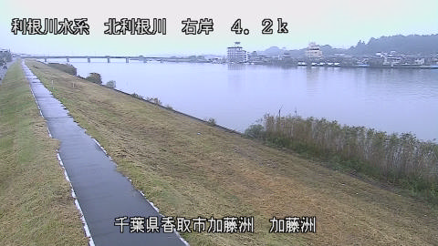 maesui2026102416_image