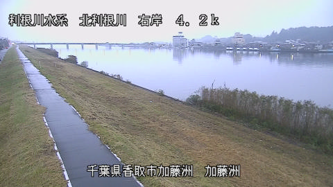 maesui2026102417_image