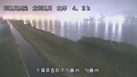 maesui2026102421_image