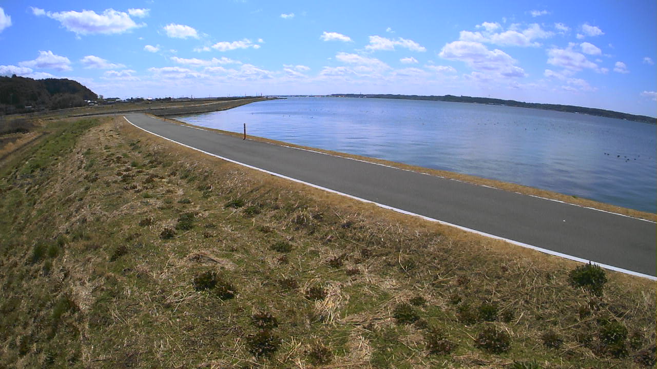 nakasa2026031112_image