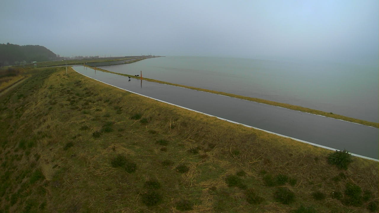 nakasa2026031907_image