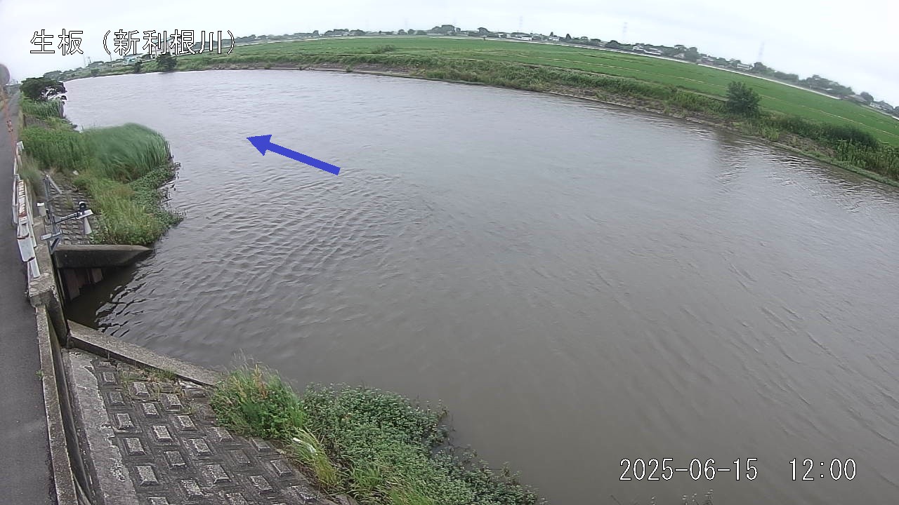 namai2025061512_image