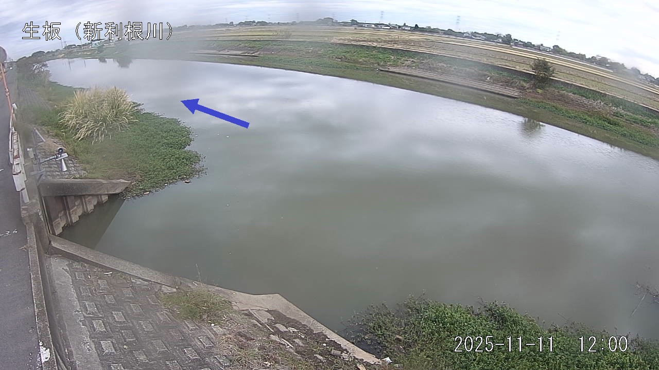 namai2025111112_image