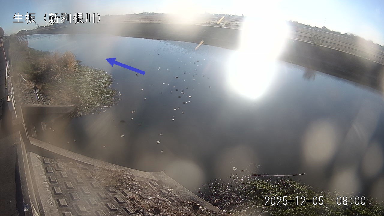 namai2025120508_image