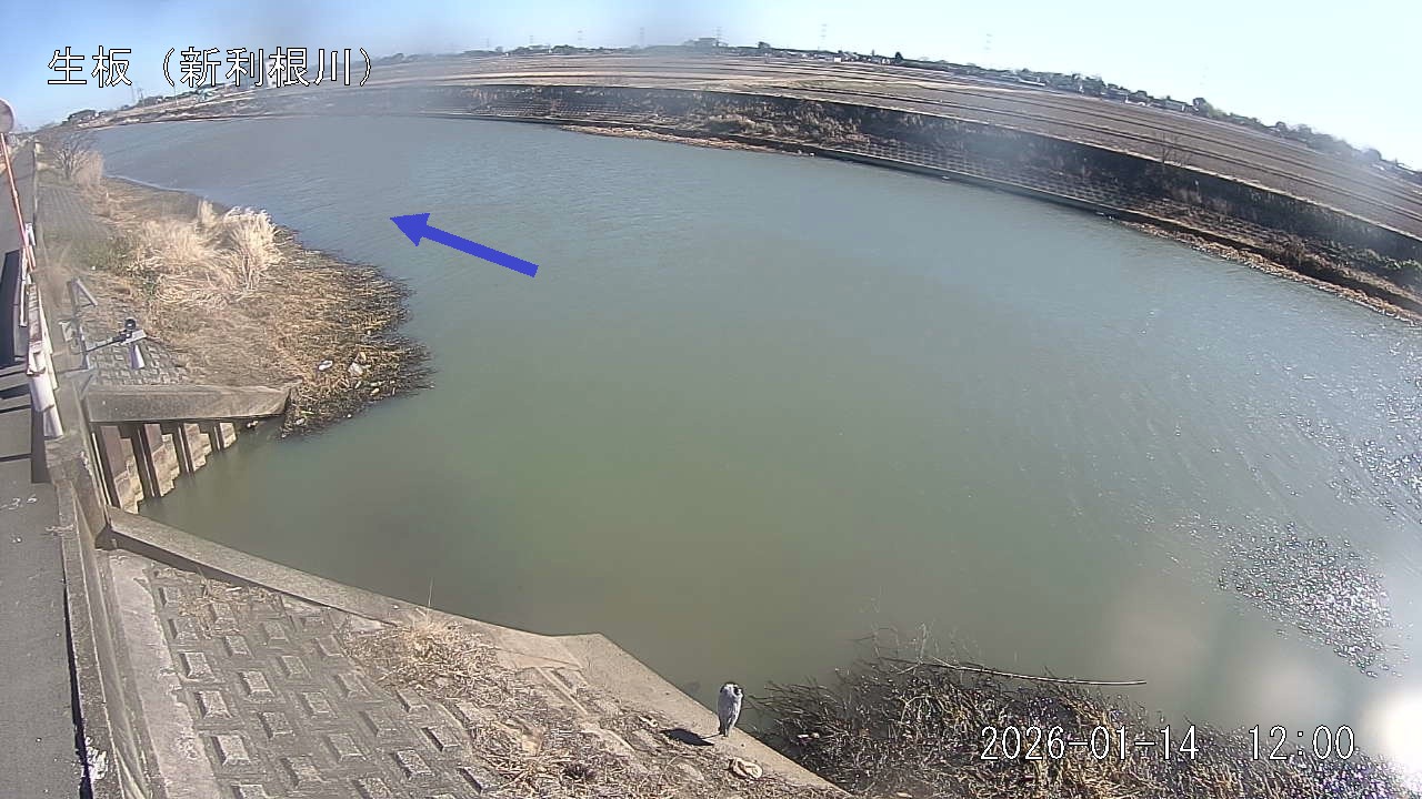 namai2026011412_image