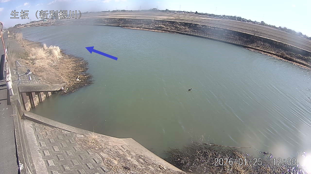 namai2026012512_image