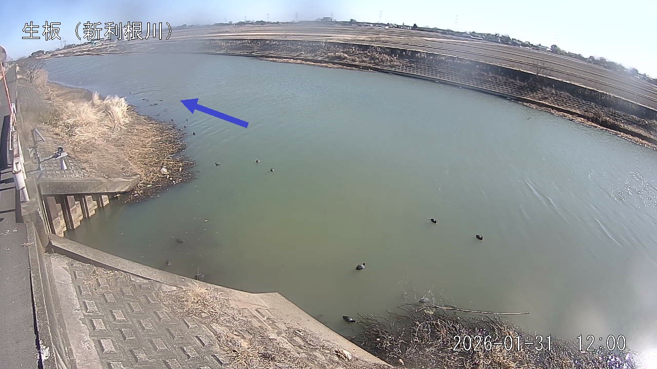 namai2026013112_image