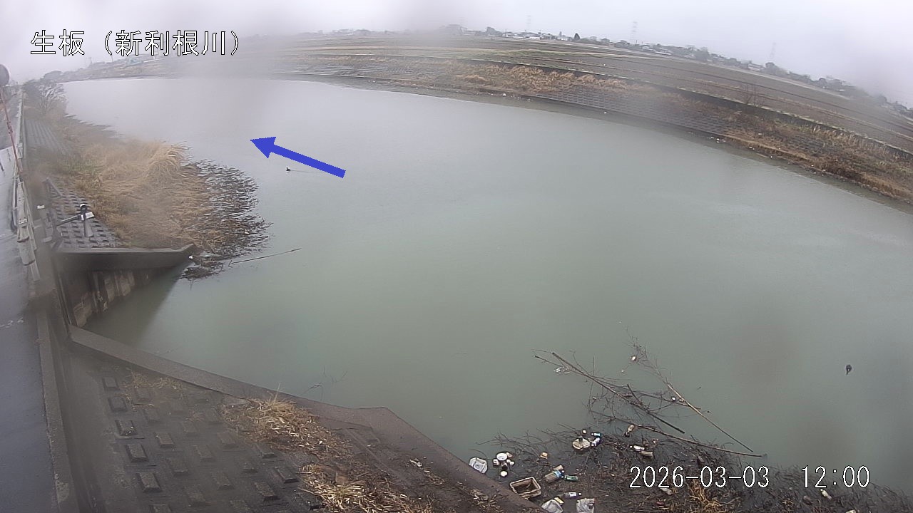 namai2026030312_image