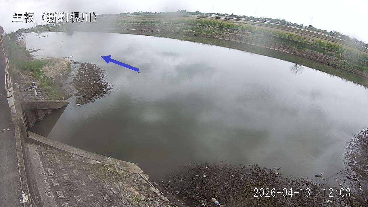 namai2026041312_image
