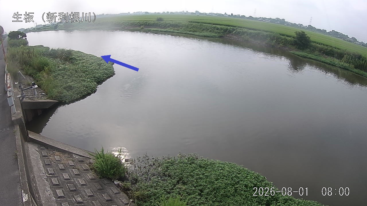 namai2026080108_image