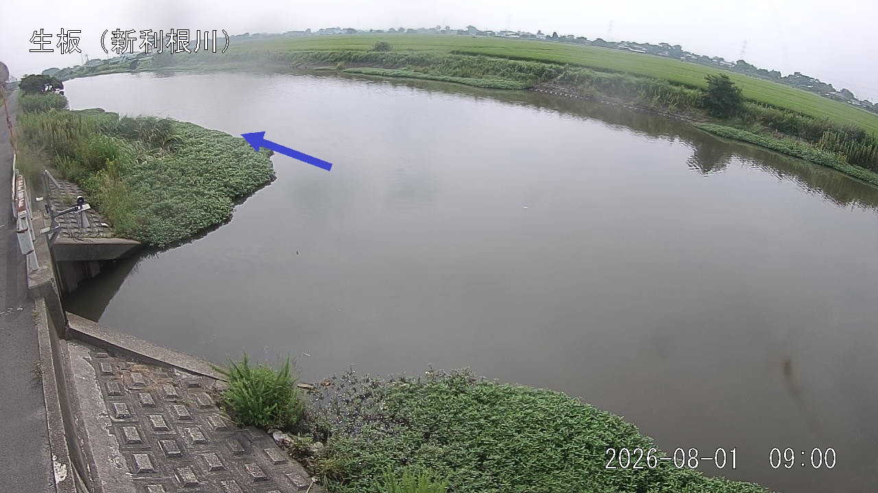 namai2026080109_image