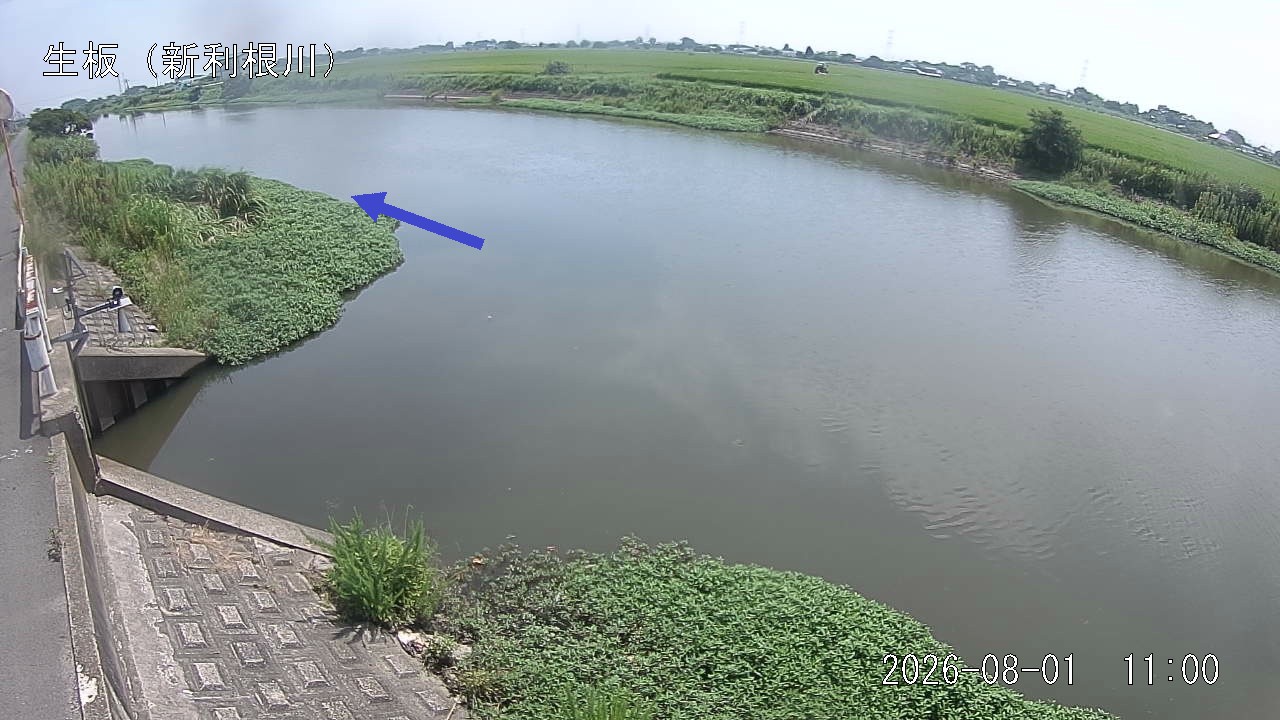 namai2026080111_image