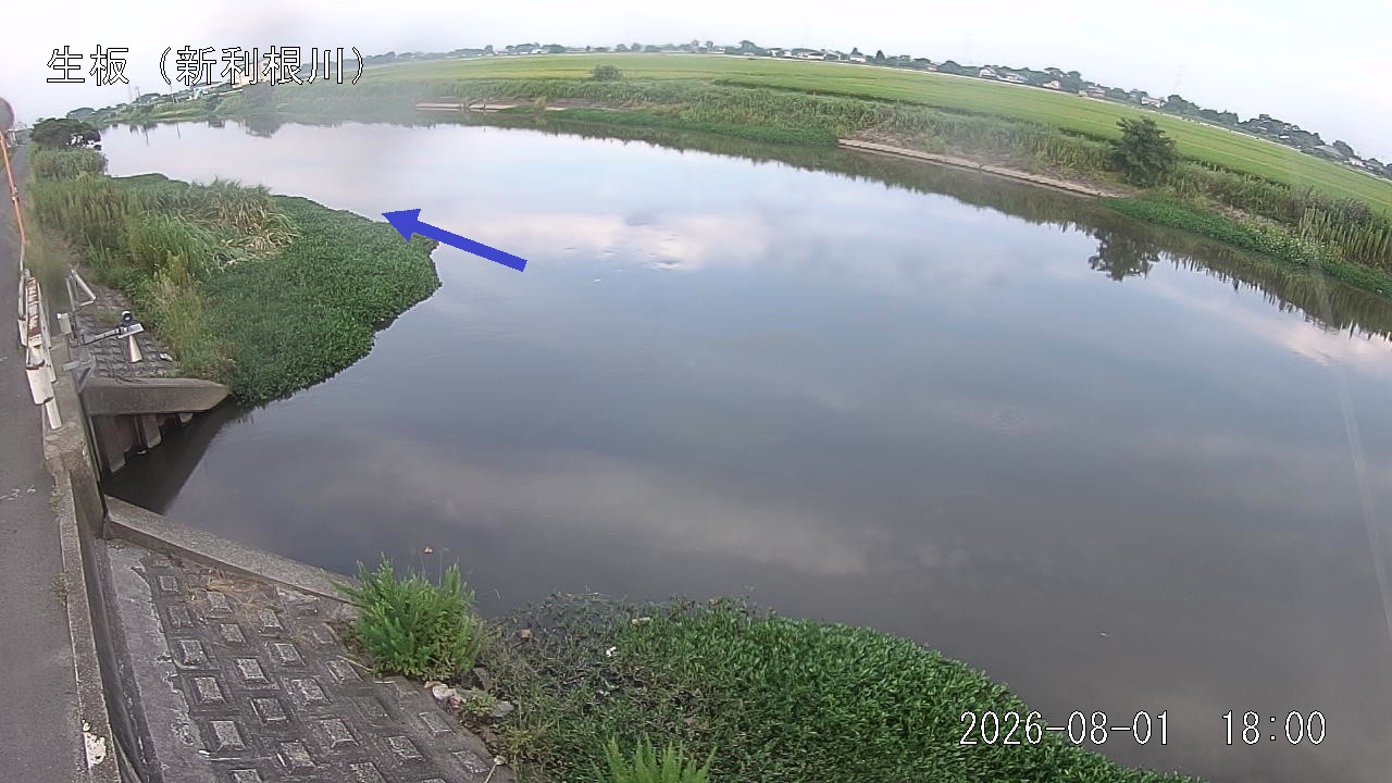 namai2026080118_image