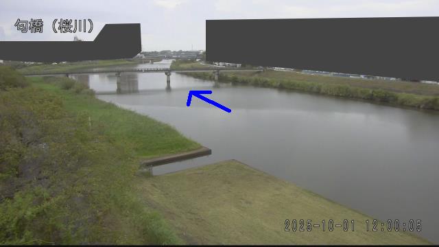 nioi2025100112_image