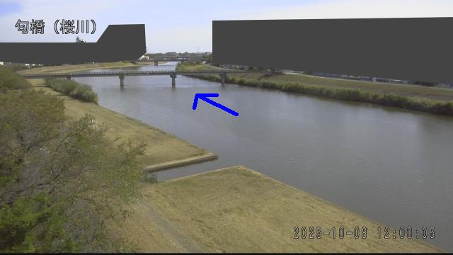 nioi2025100812_image