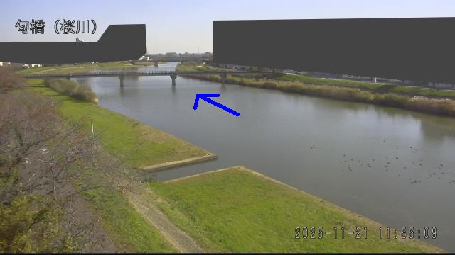 nioi2025112112_image