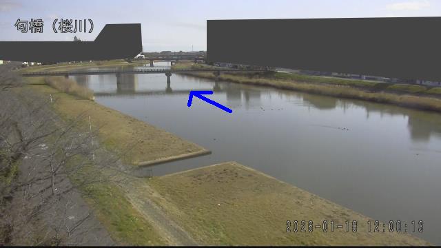 nioi2026011812_image